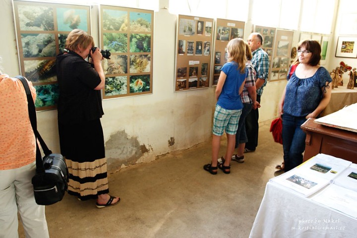 img00032.jpg